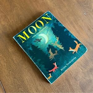 Moon by Britta Teckentrup